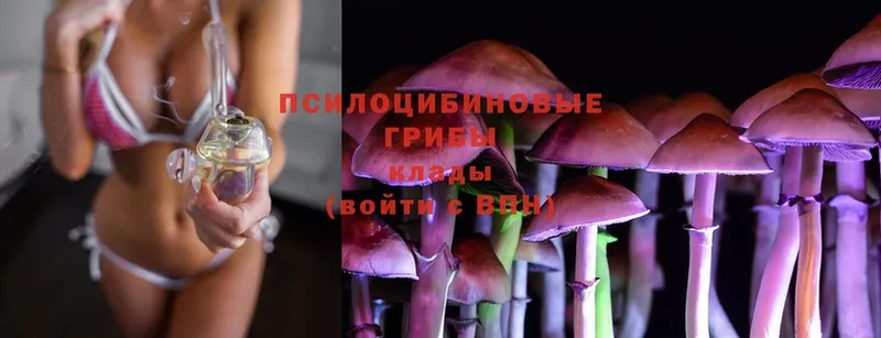 Галлюциногенные грибы MAGIC MUSHROOMS  где купить наркотик  Буй 